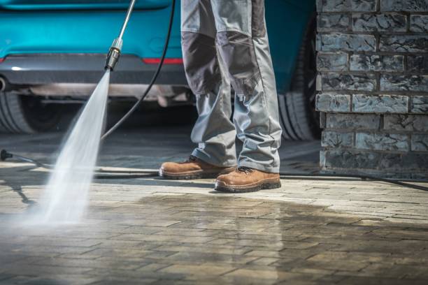 Best Spring Cleaning  in Royalton, IL