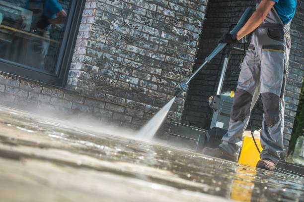 Best Dumpster Area Cleaning  in Royalton, IL