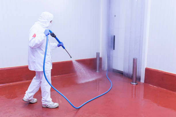 Best Patio and Deck Pressure Washing  in Royalton, IL